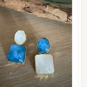 Elegant Blue and White Earrings